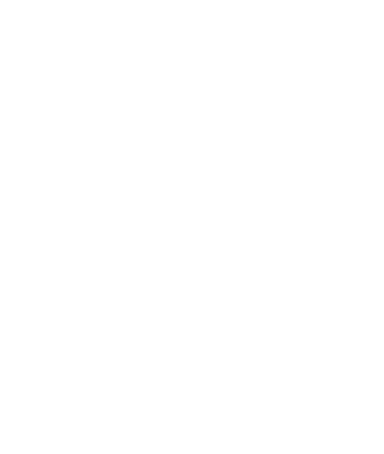 PDS – Petersen Digital Solutions