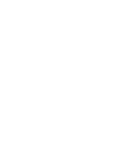 PDS – Petersen Digital Solutions
