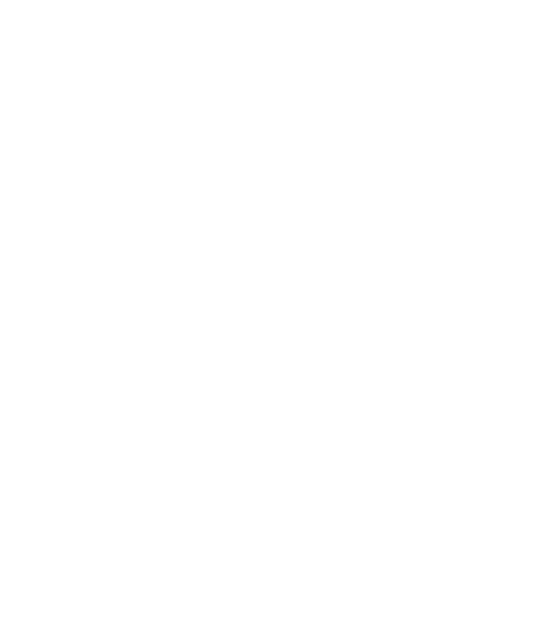 PDS – Petersen Digital Solutions